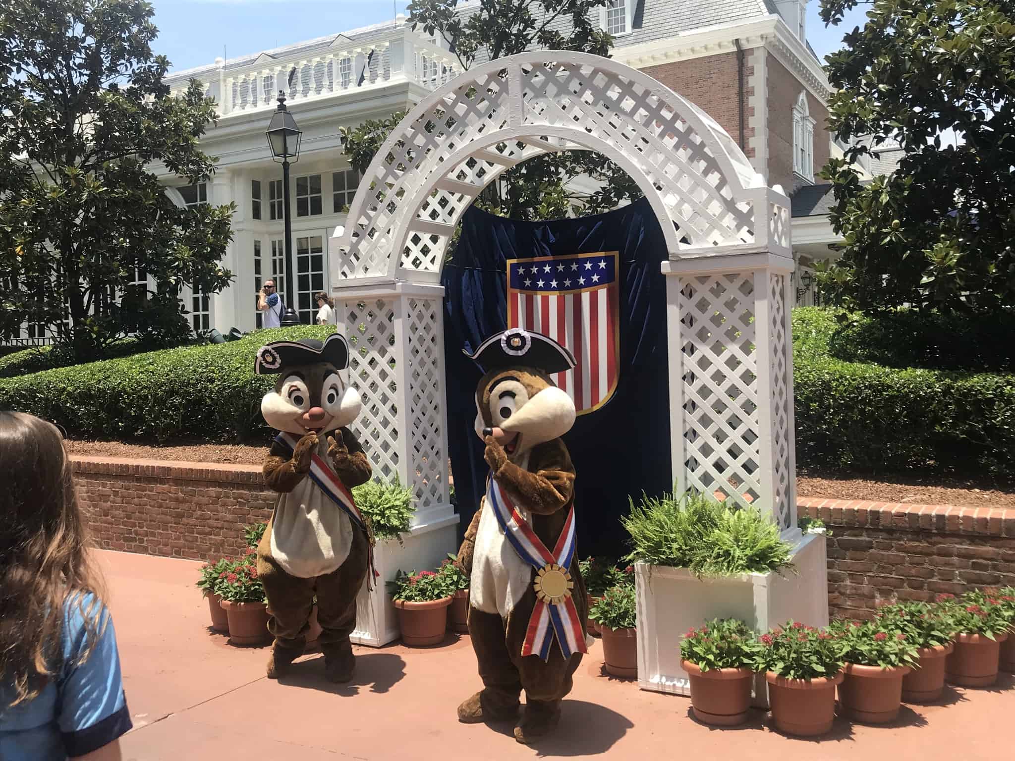 patriotic characters