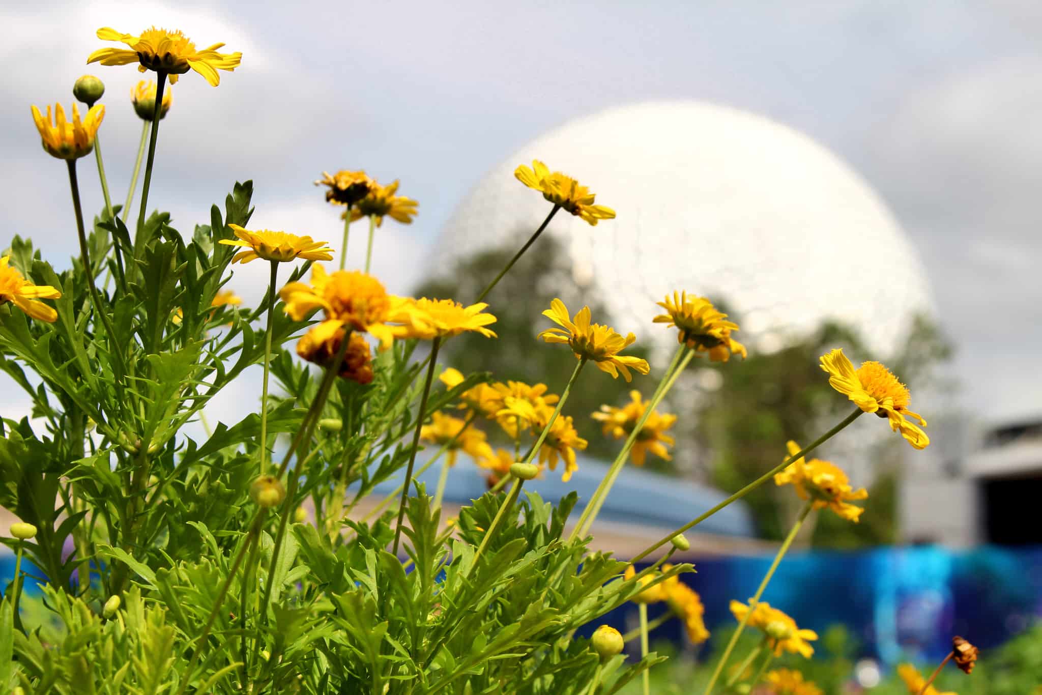 epcot spaceship earth