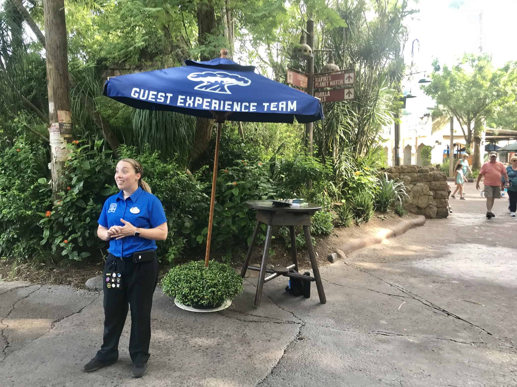 animal kingdom guest experience team