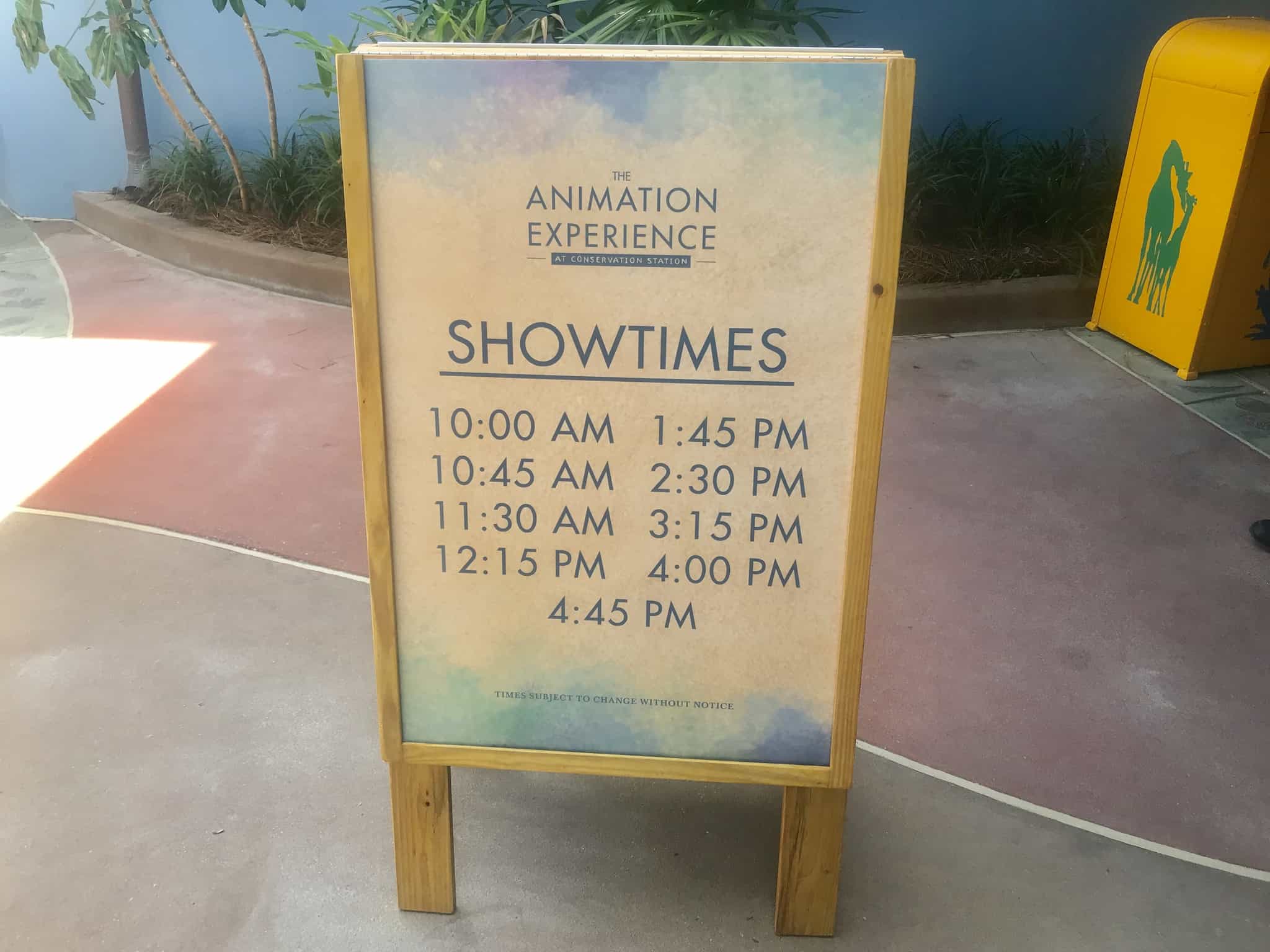 animation experience