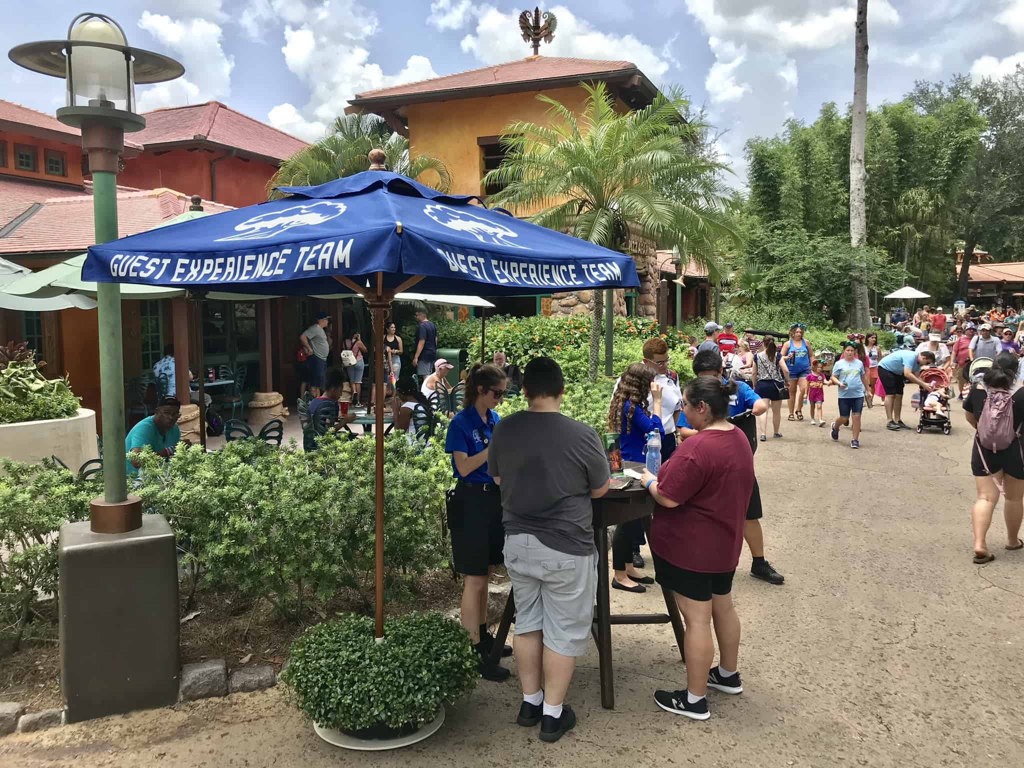 animal kingdom guest experience team