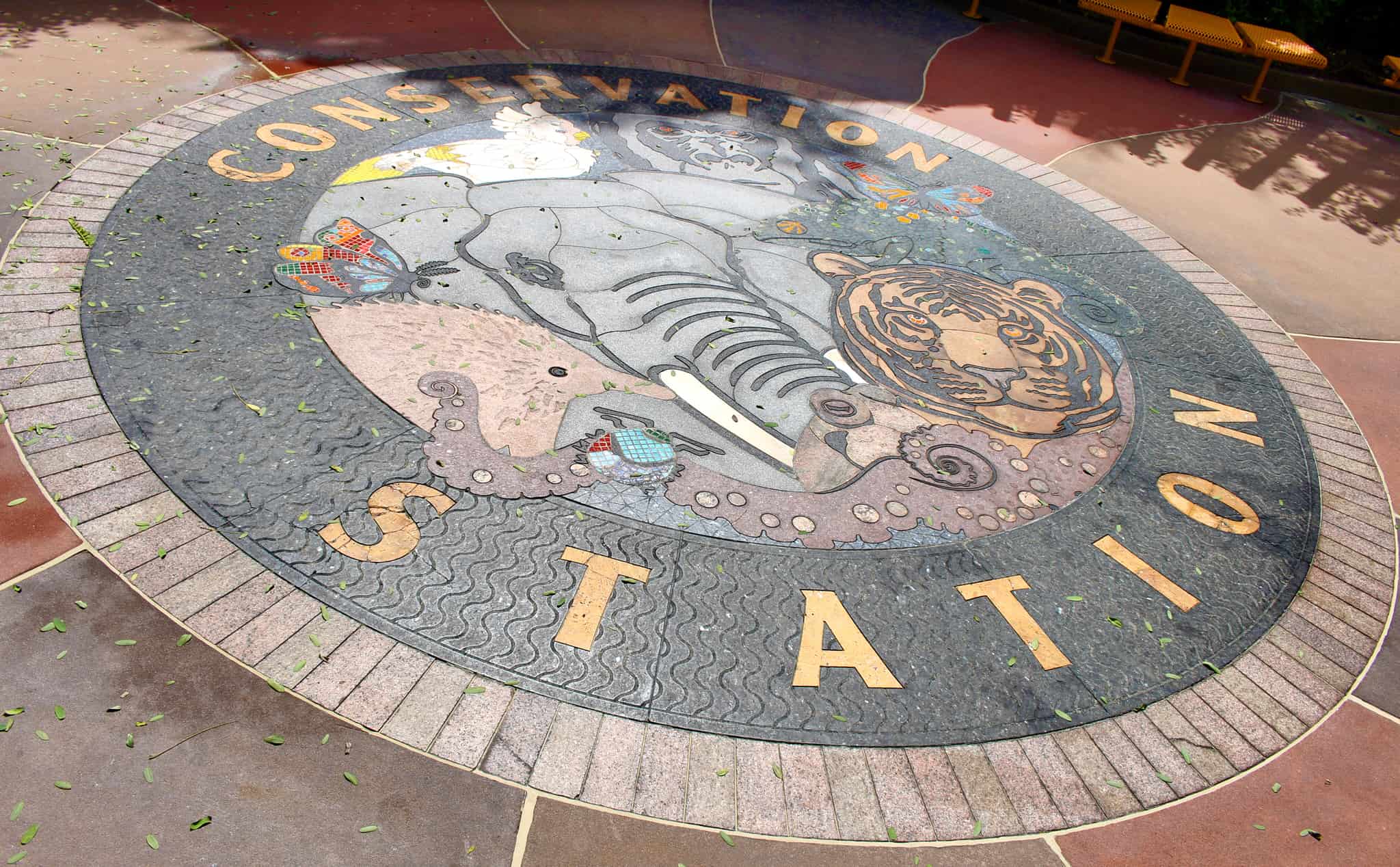 Rafiki's planet watch