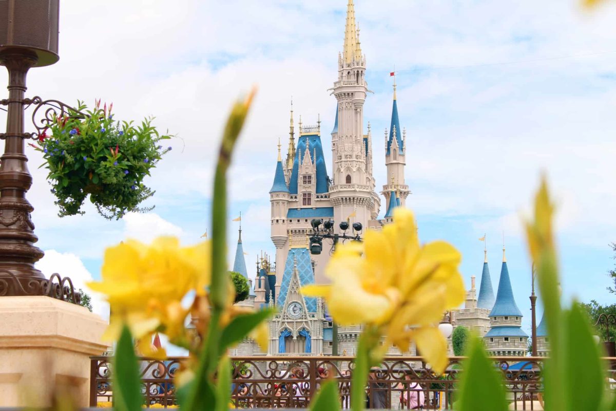 magic kingdom