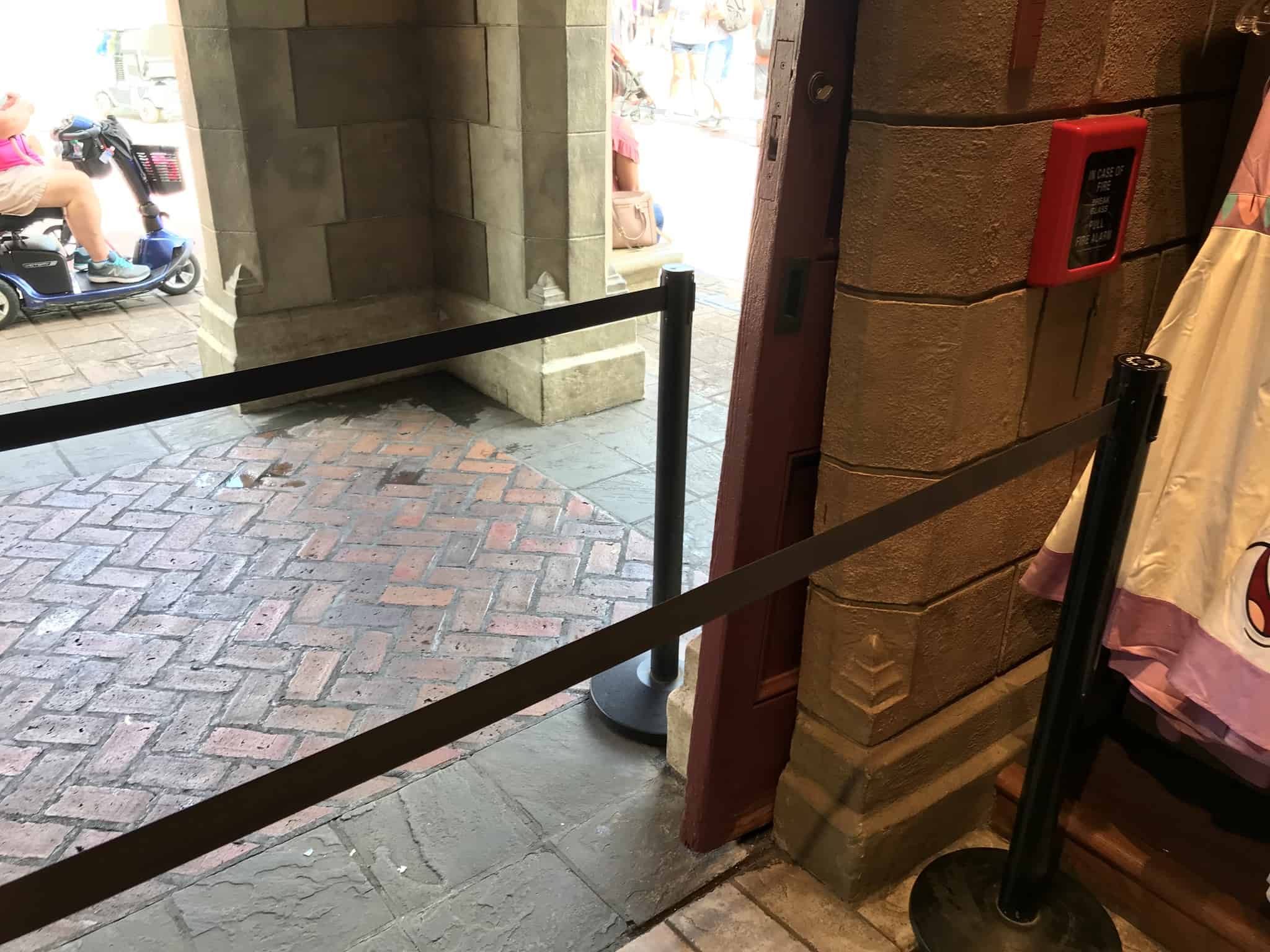 sir mickey's