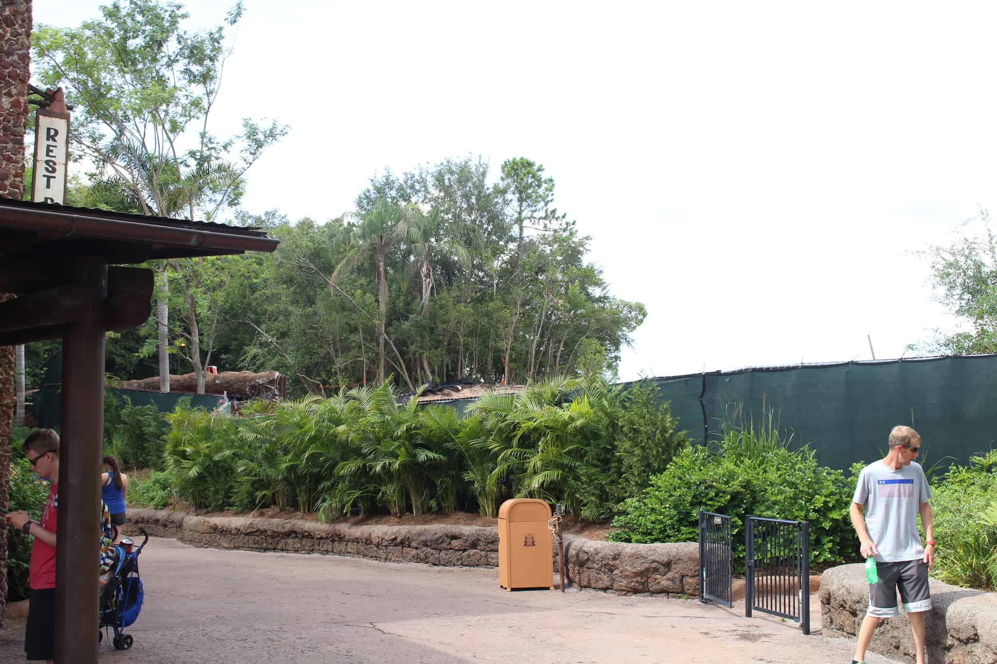 animal kingdom club 33