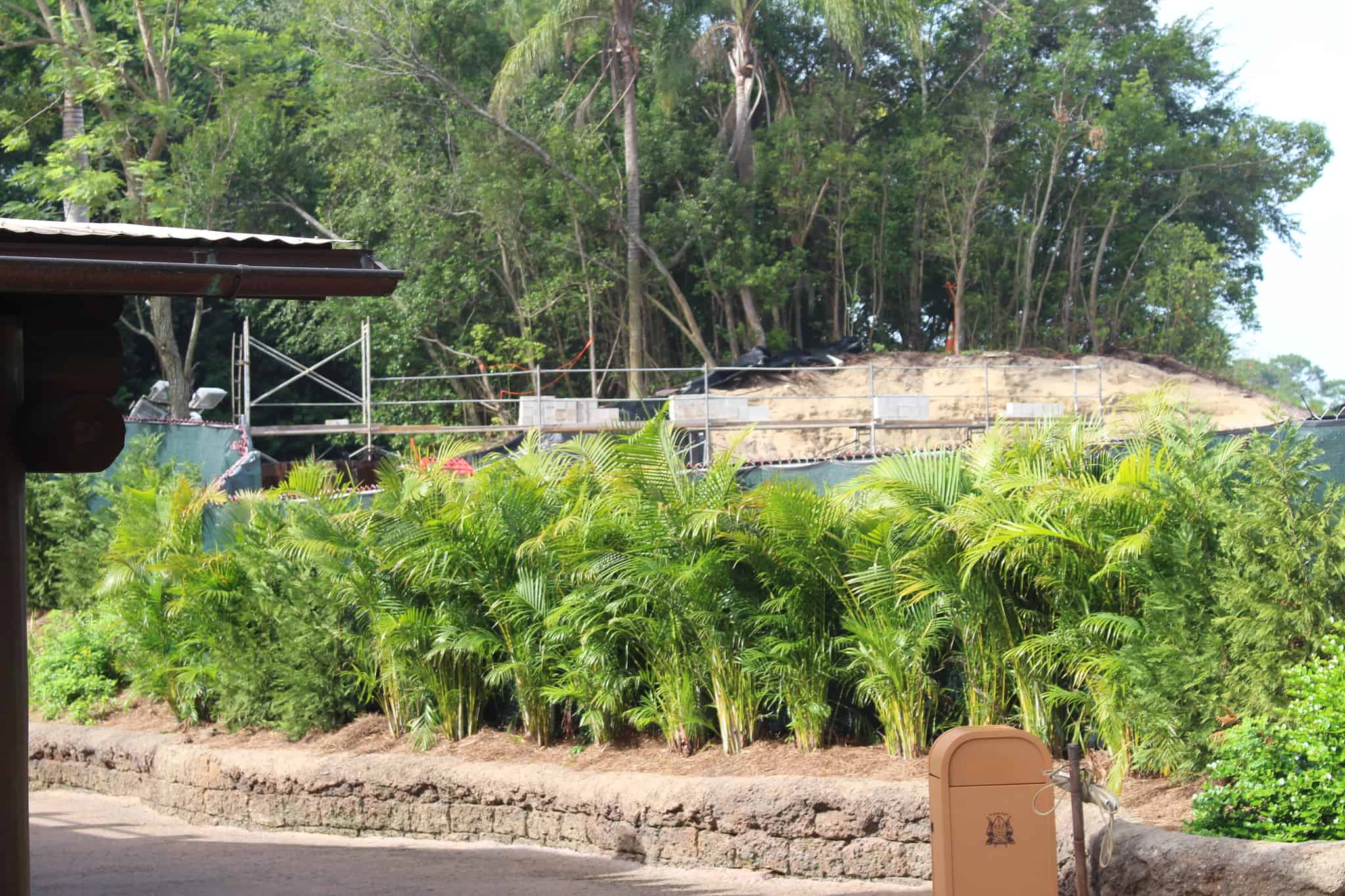 animal kingdom club 33