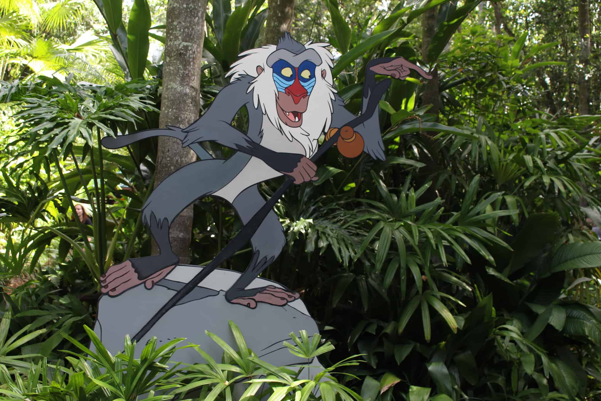 Rafiki's planet watch