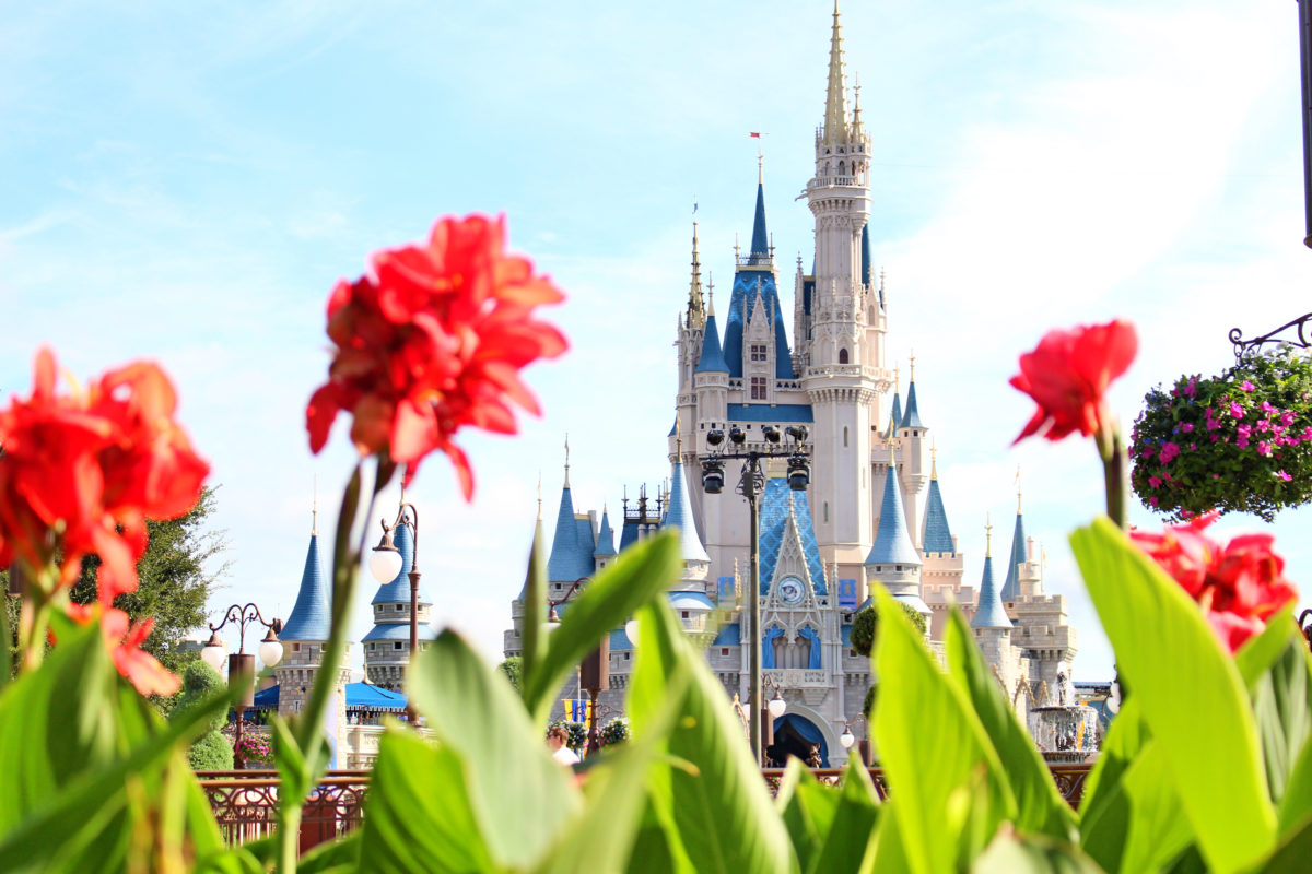 cinderella castle