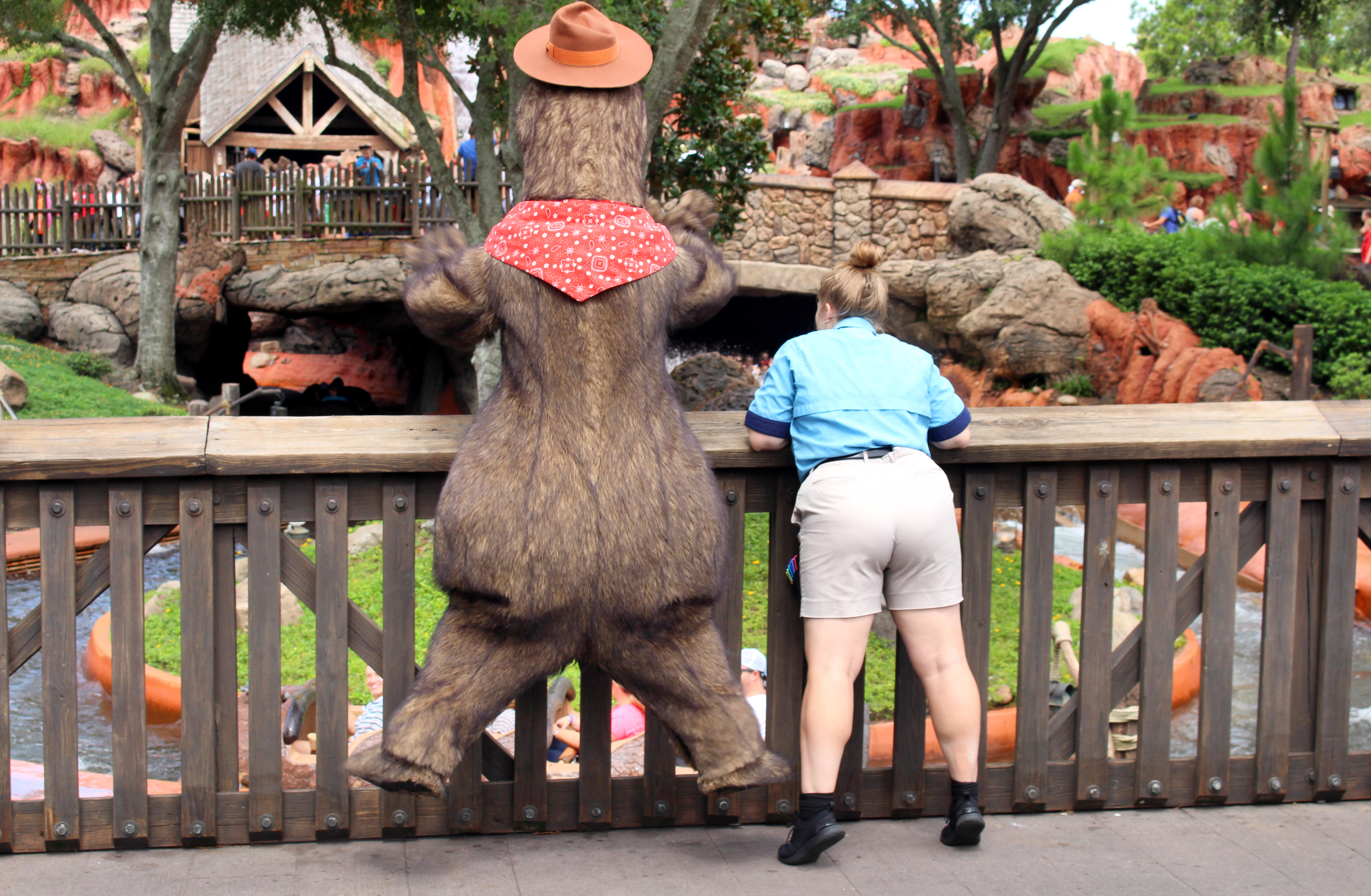 splash mountain country bar jamboree
