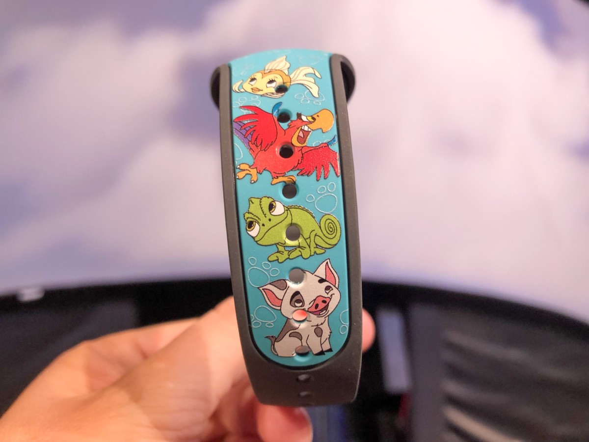 Pua, Pascal, Iago, Cleo characters on teal band