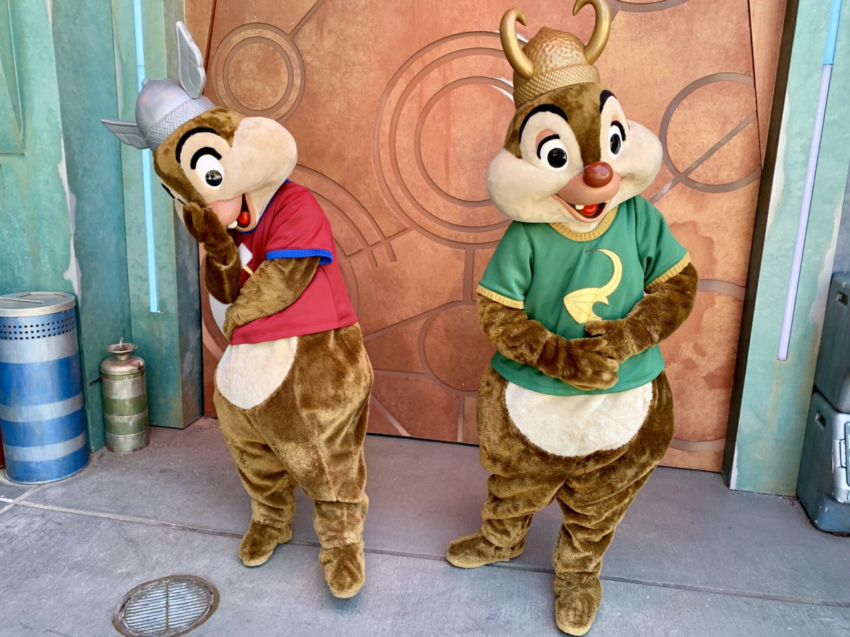 Chip and Dale Dressed as Thor and Loki Meet and Greet Disney California Adventure 
