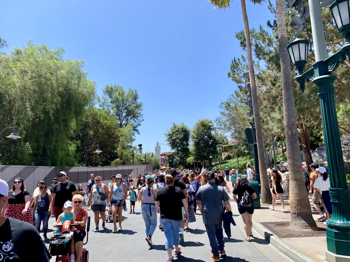 Disney California Adventure Photo Report 8-11-19 Crowds, Mickey Missing from Silly Symphony Swings, New Merch