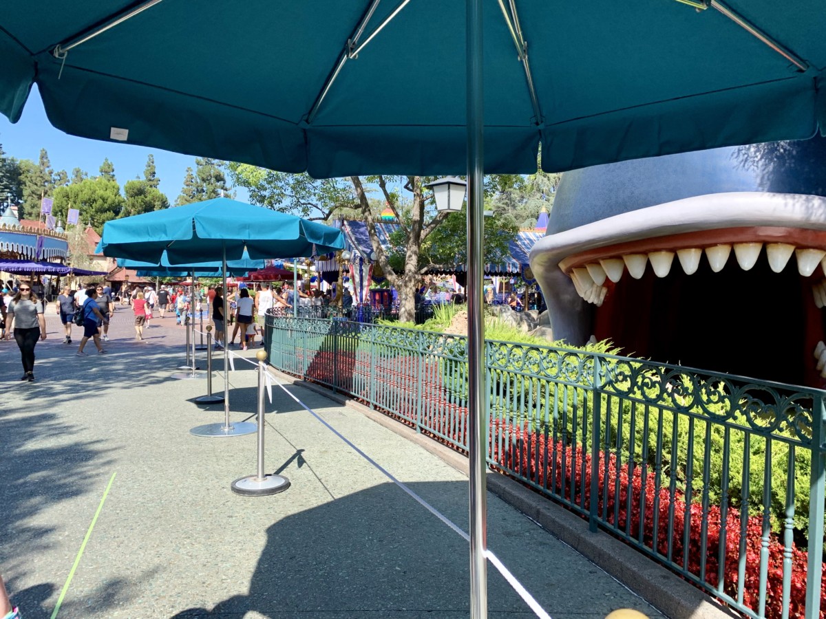 Disneyland Photo Report 8:28:19 Adventureland Refurbishment, Character Sightings, and Pumpkin Cream Cold Brew and more