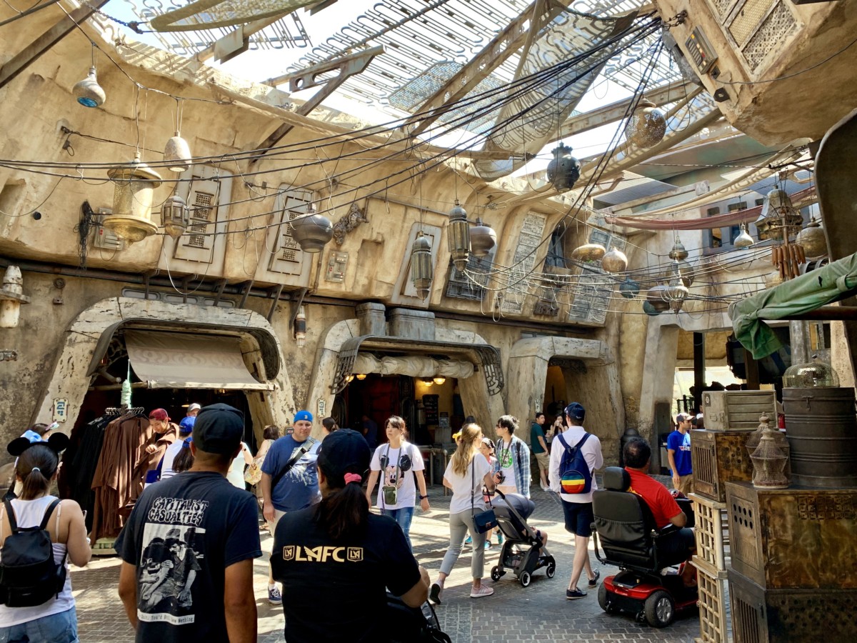 Disneyland Photo Report 8:28:19 Adventureland Refurbishment, Character Sightings, and Pumpkin Cream Cold Brew and more