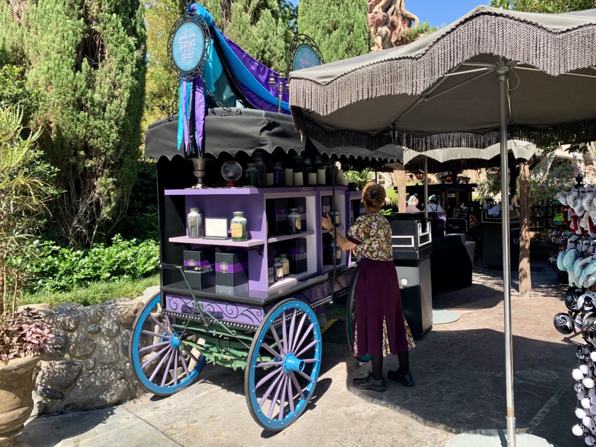 Disneyland Photo Report 8:28:19 Adventureland Refurbishment, Character Sightings, and Pumpkin Cream Cold Brew and more