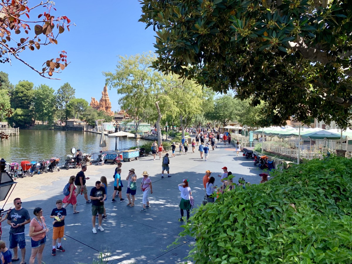 Disneyland Photo Report 8:28:19 Adventureland Refurbishment, Character Sightings, and Pumpkin Cream Cold Brew and more