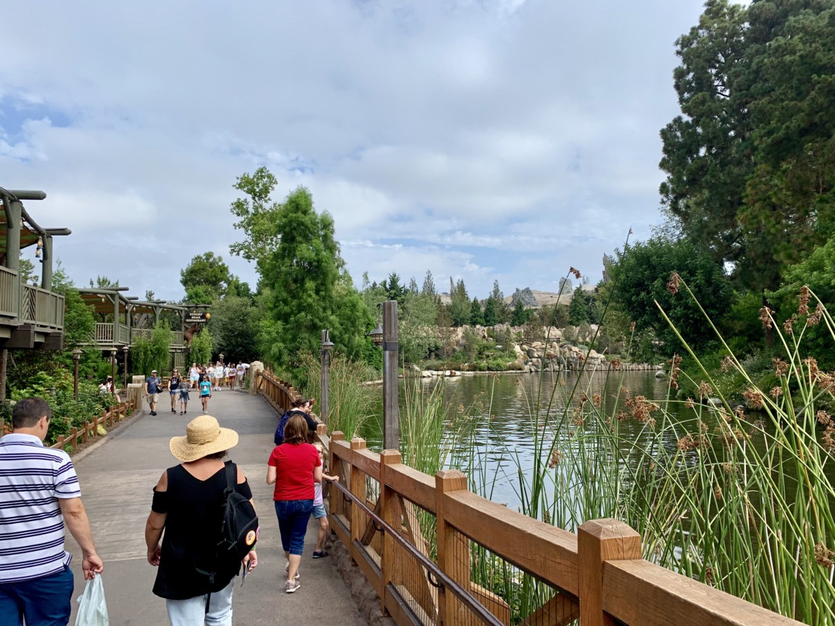 Disneyland Photo Report Frozen Pins Star Wars: Galaxy's Edge Crowds and More August 7 2019