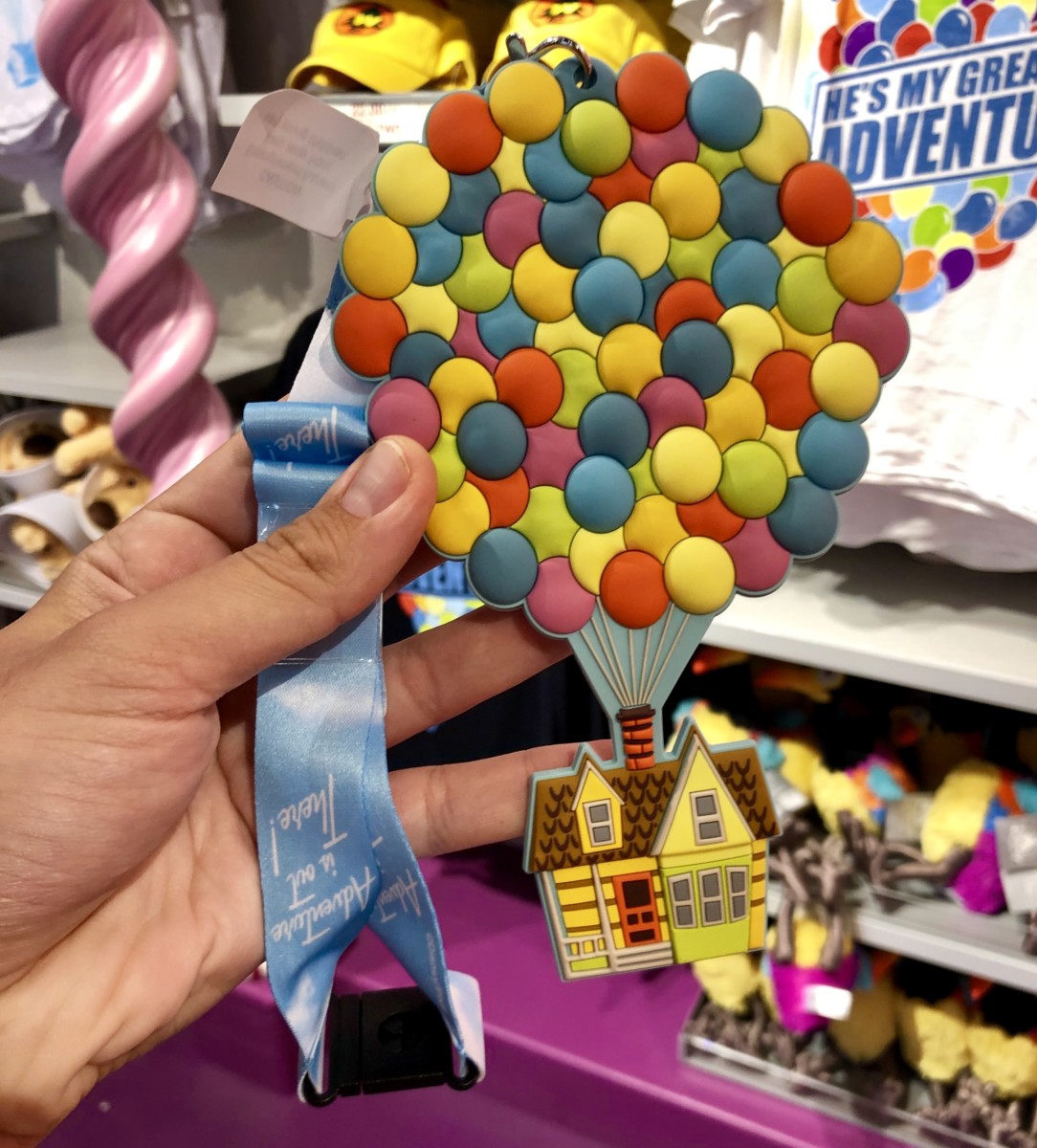 Pixar Card Holder Lanyards Disney California Adventure