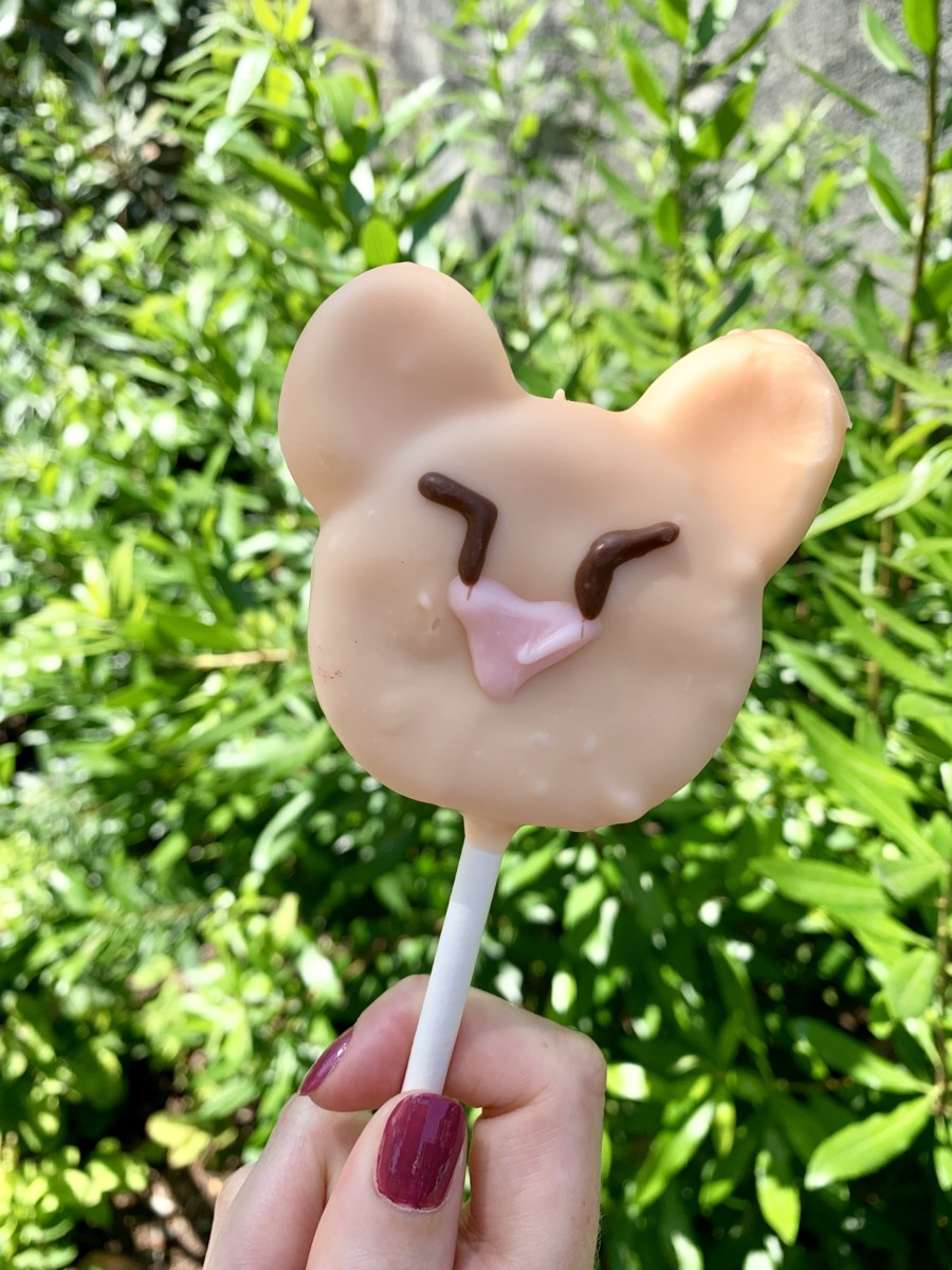 Simba and Nala Cake Pops Trolley Treats Disney California Adventure