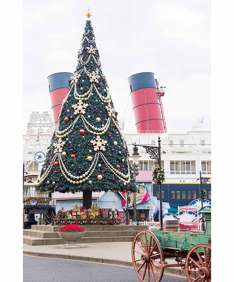 Tokyo DIsneySea Stock - Christmas Tree (19)