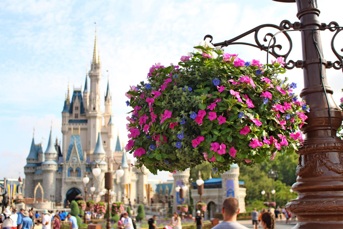 magic kingdom