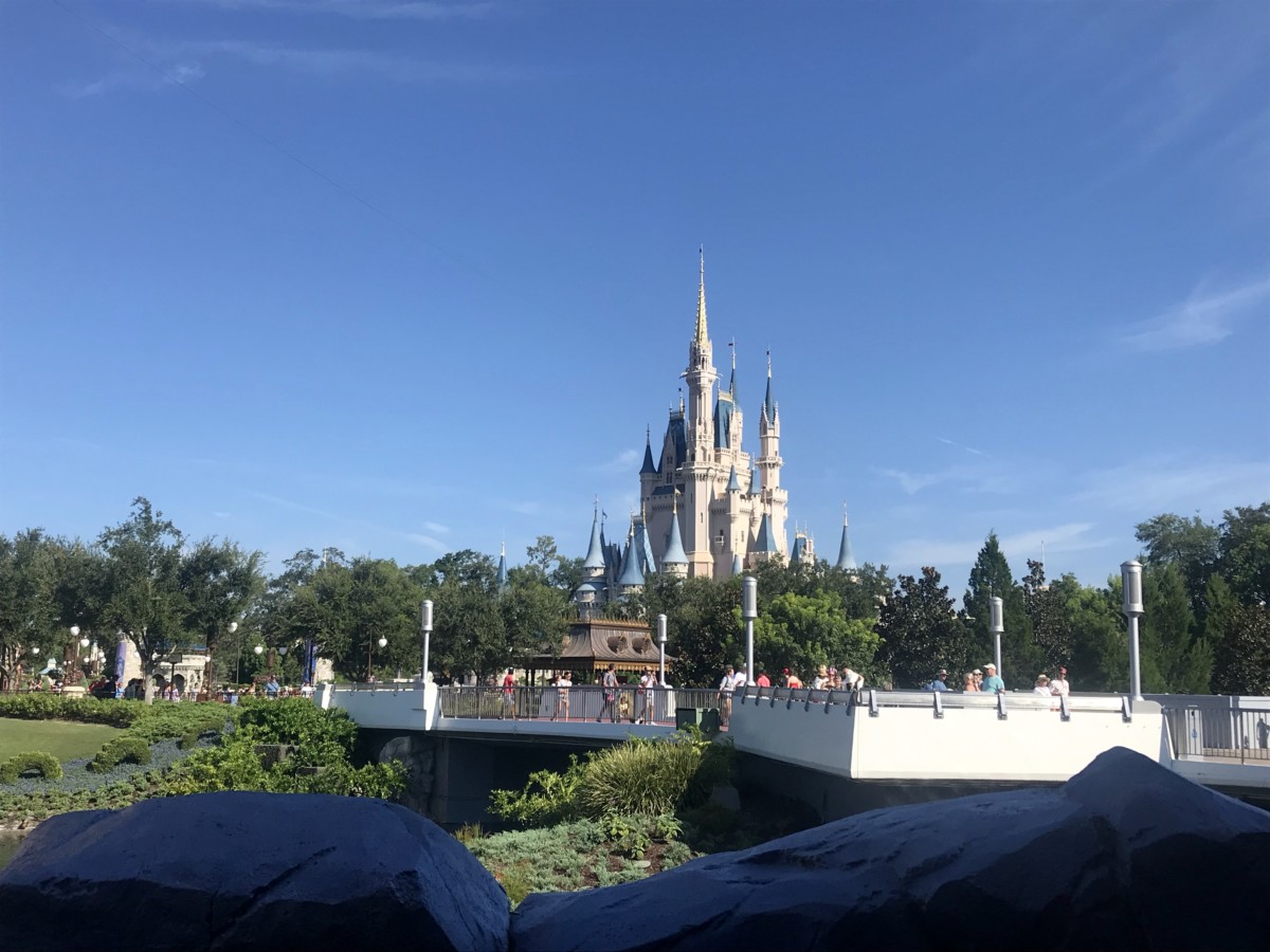Tomorrowland bridge