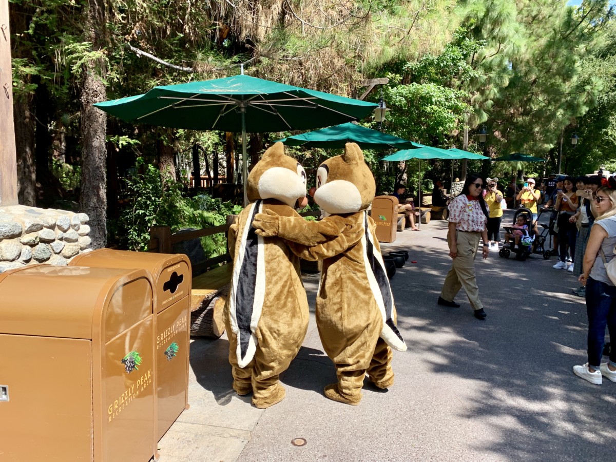 Disney California Adventure Photo Report 9:4:19 Tiana Alex and Ani Bangle, Halloween Decorations and More!