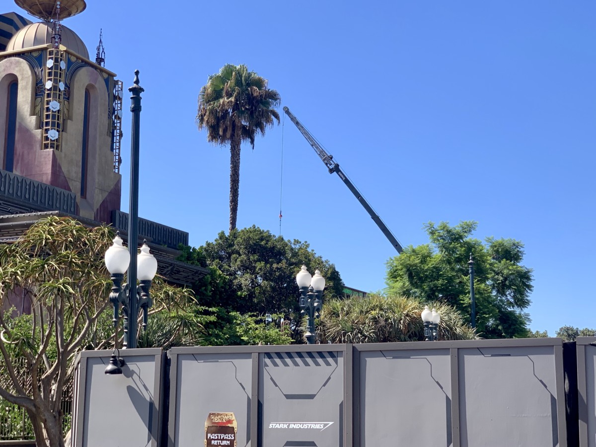Disney California Adventure Photo Report 9:4:19 Tiana Alex and Ani Bangle, Halloween Decorations and More! 