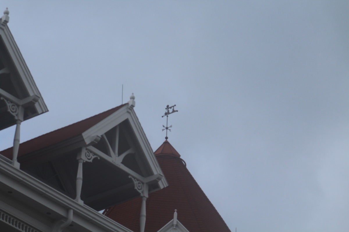 Hidden Mickey Grand Floridian Walt Disney World Resort