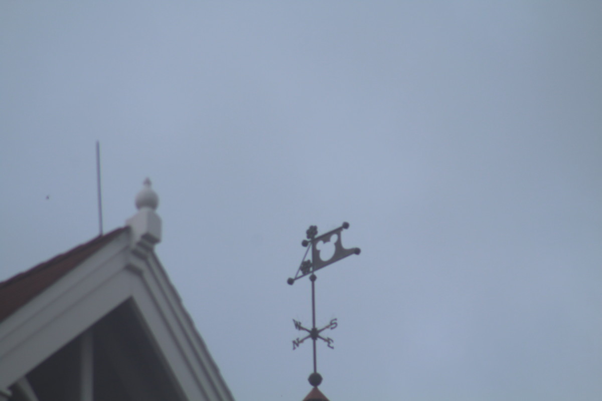 Hidden Mickey Grand Floridian Walt Disney World Resort