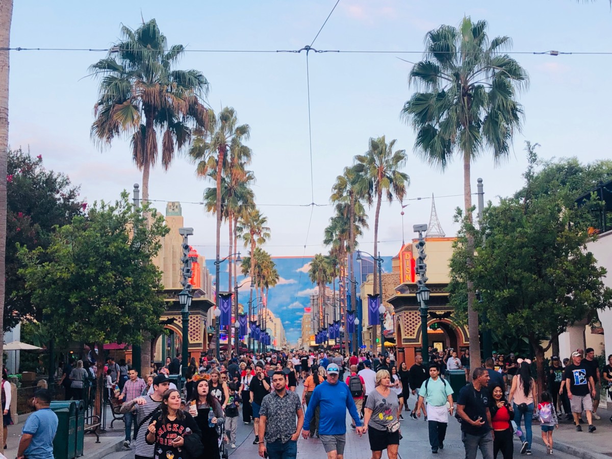 disney california adventure