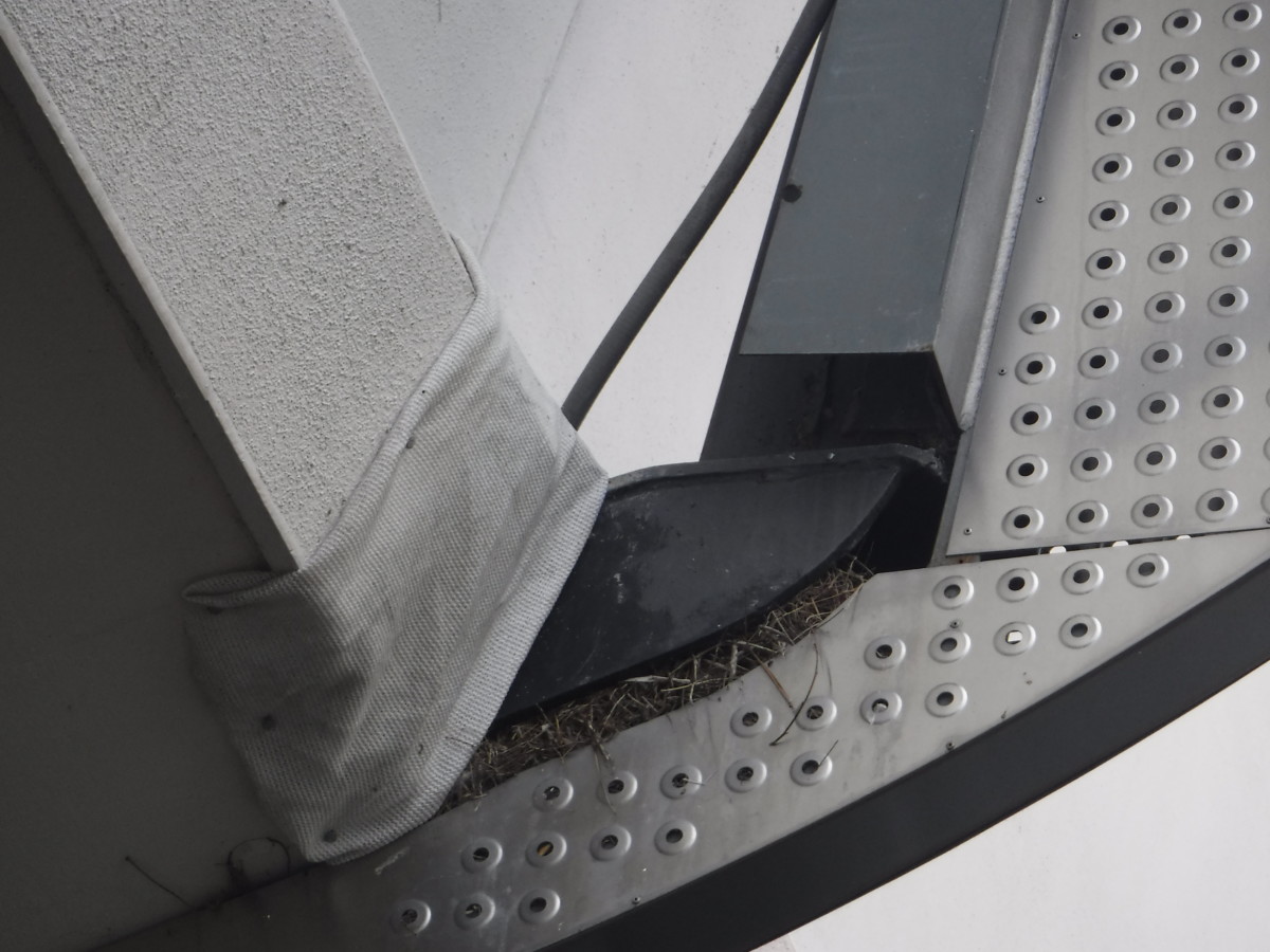 Tomorrowland_peoplemover_construction_4