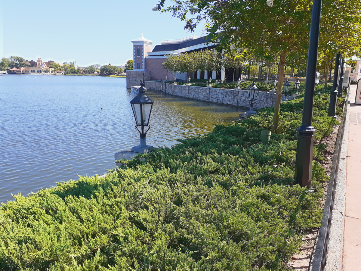 epcot_water_low_2