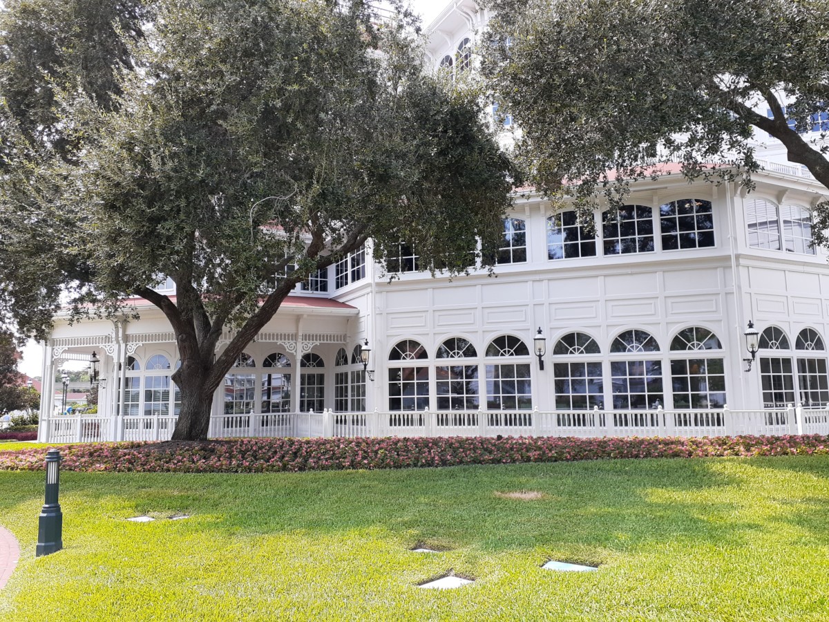 Grand Floridian Pool view