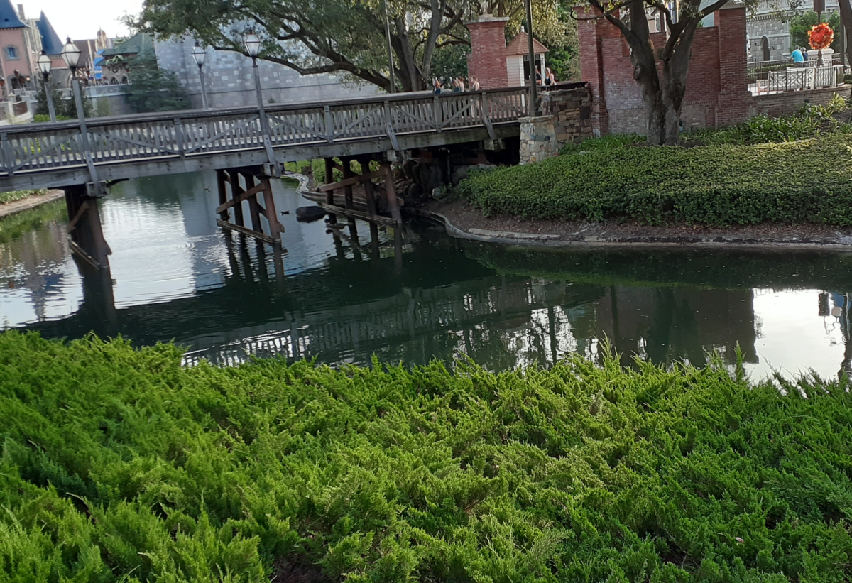 A morning view of Cinderella Castle and the newly filled moat.