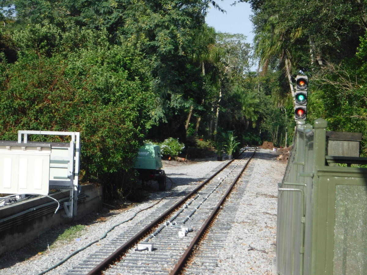 walt disney world railroad track new foliage