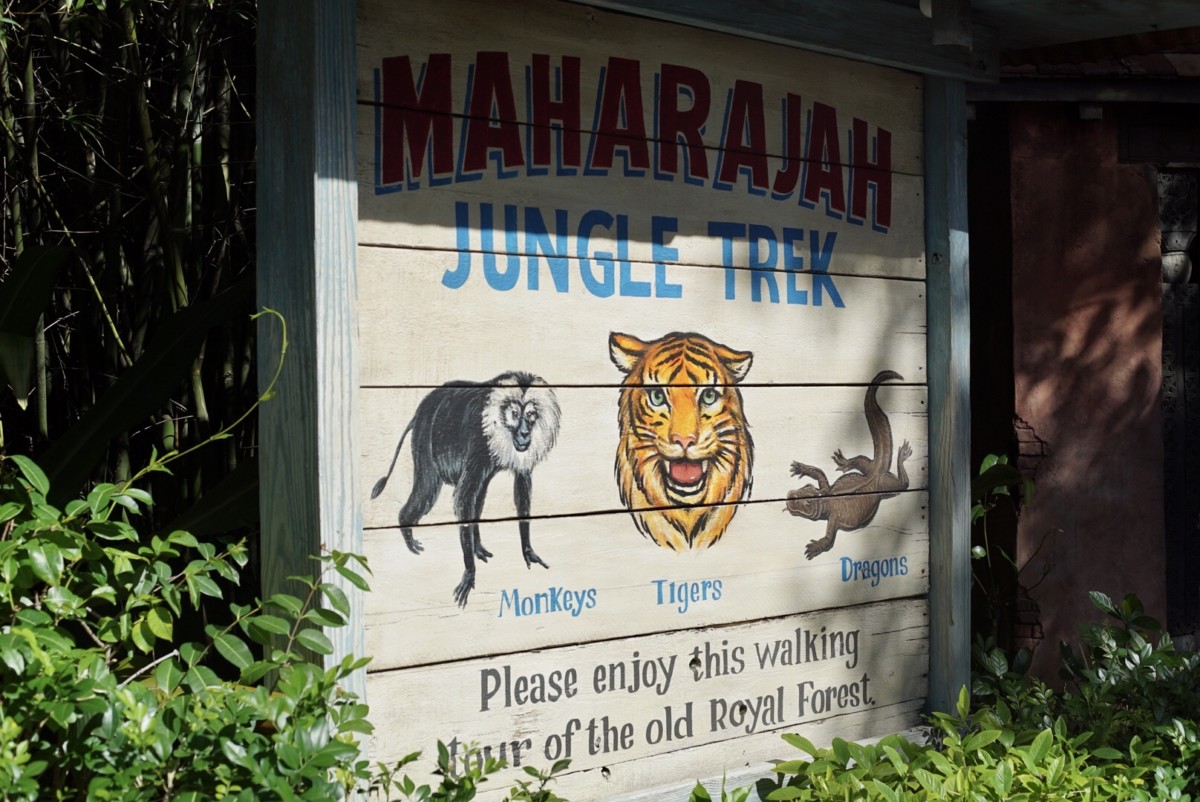 jungle trek
