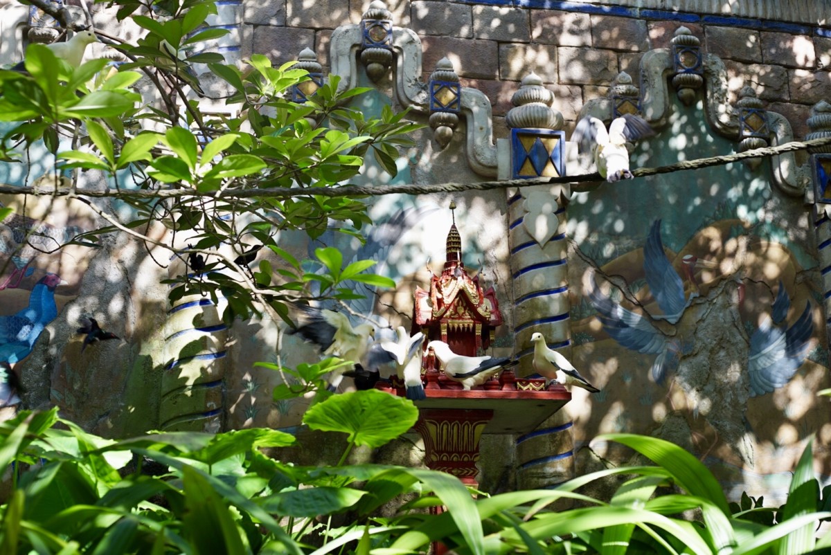 jungle trek