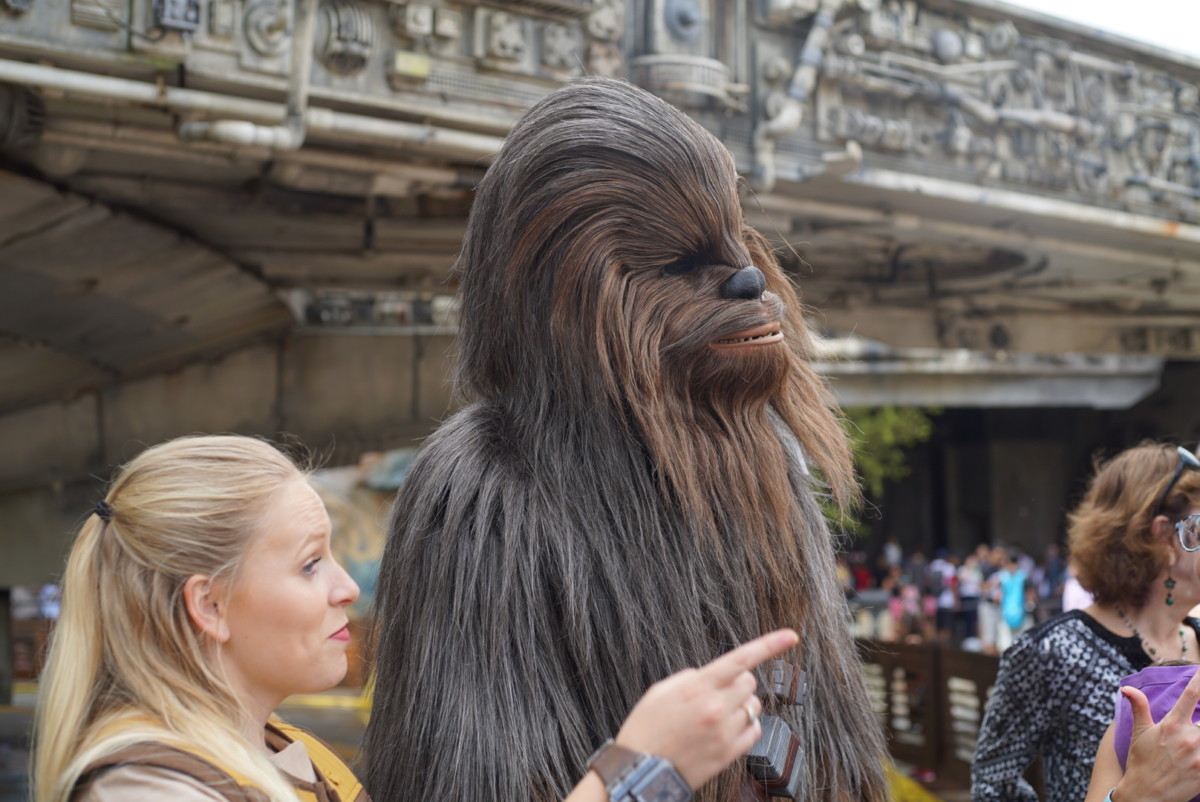chewie