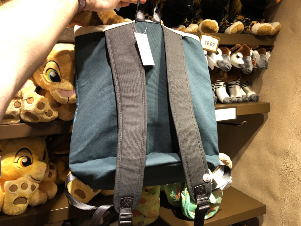 dvc backpack