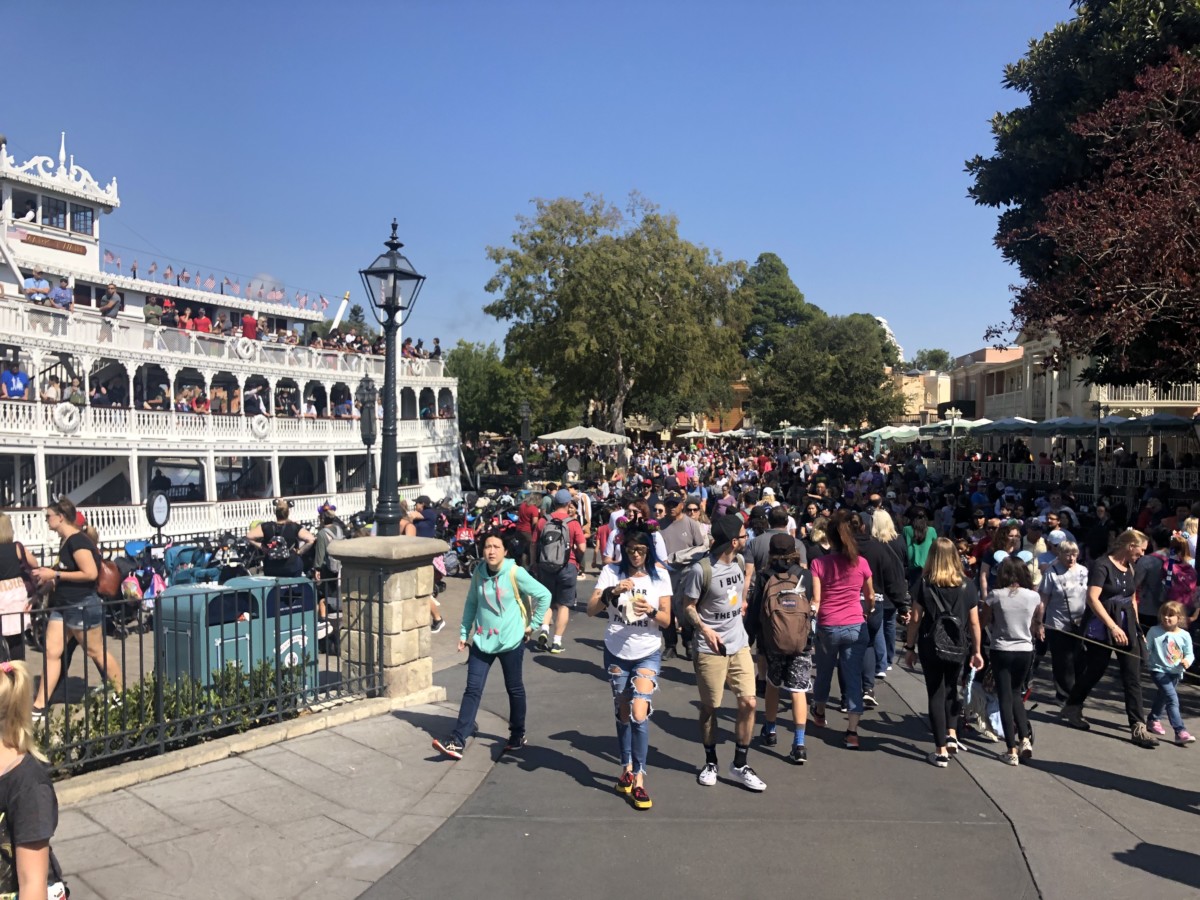 crowds