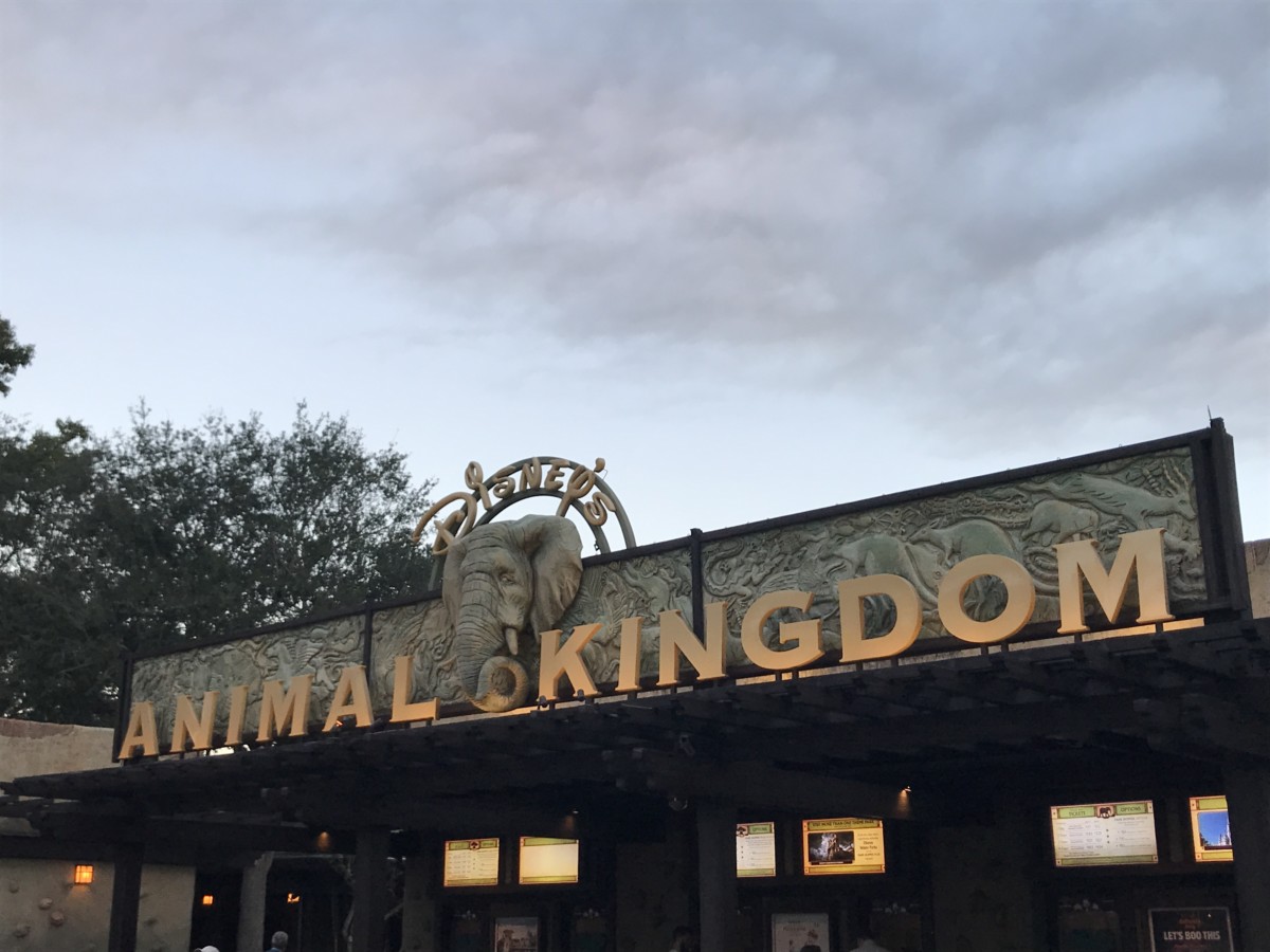 animal kingdom