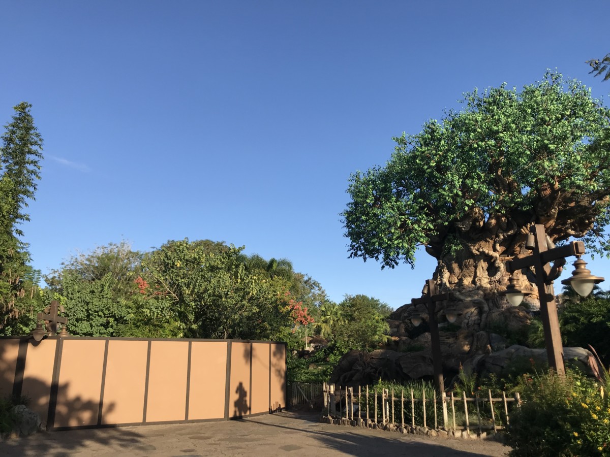 tree of life construction