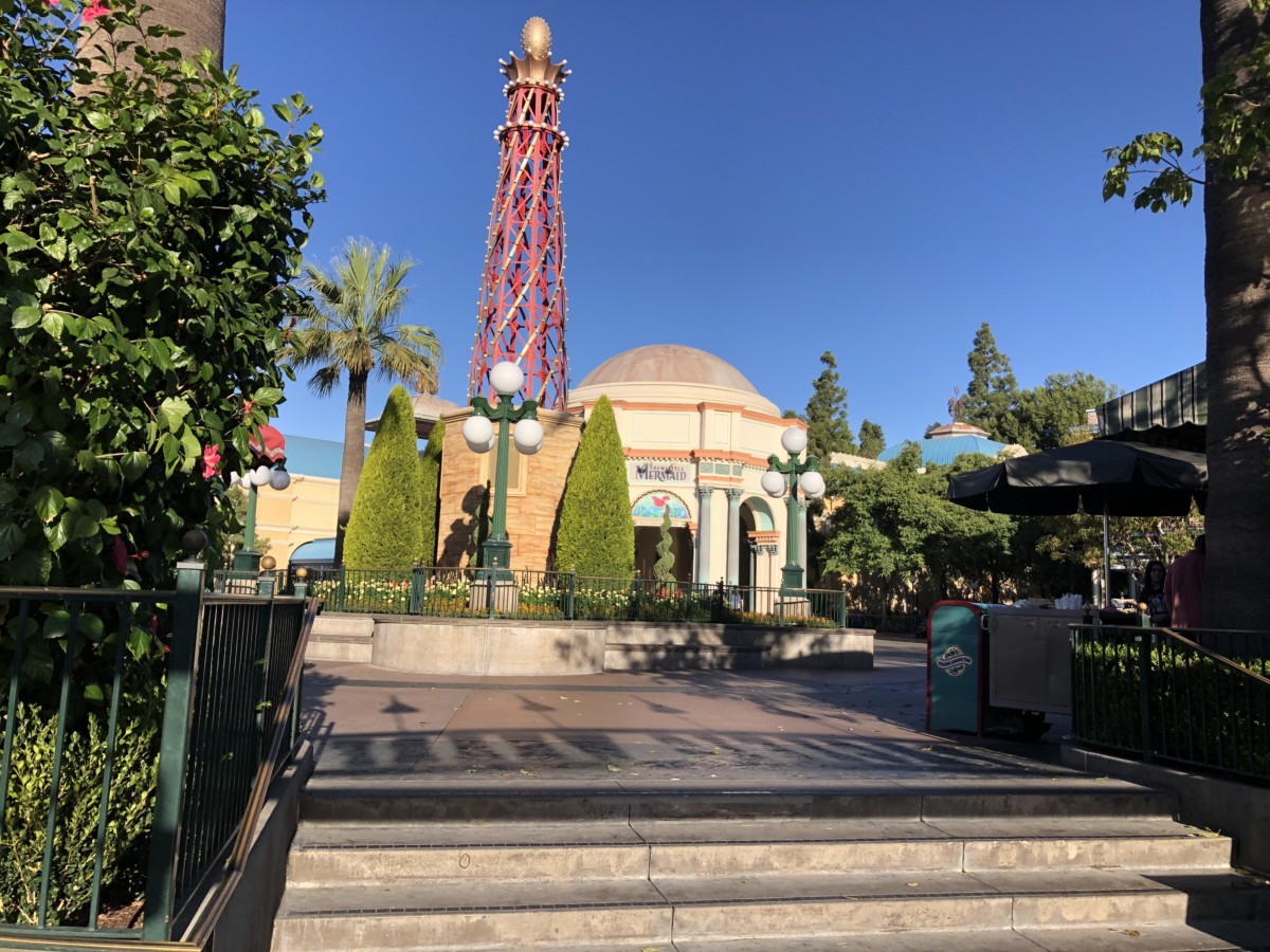 dca crowds