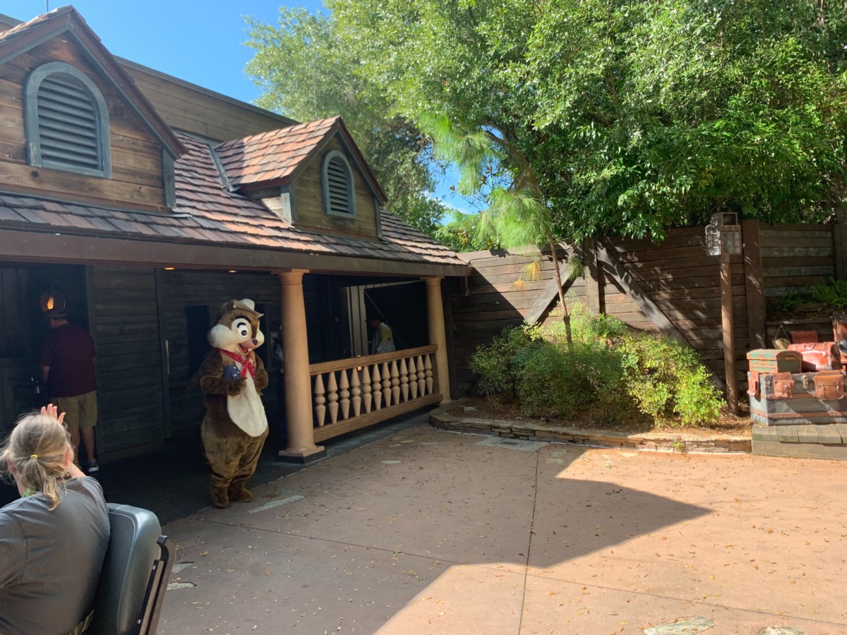 chip and dale splash mountain meet and greet