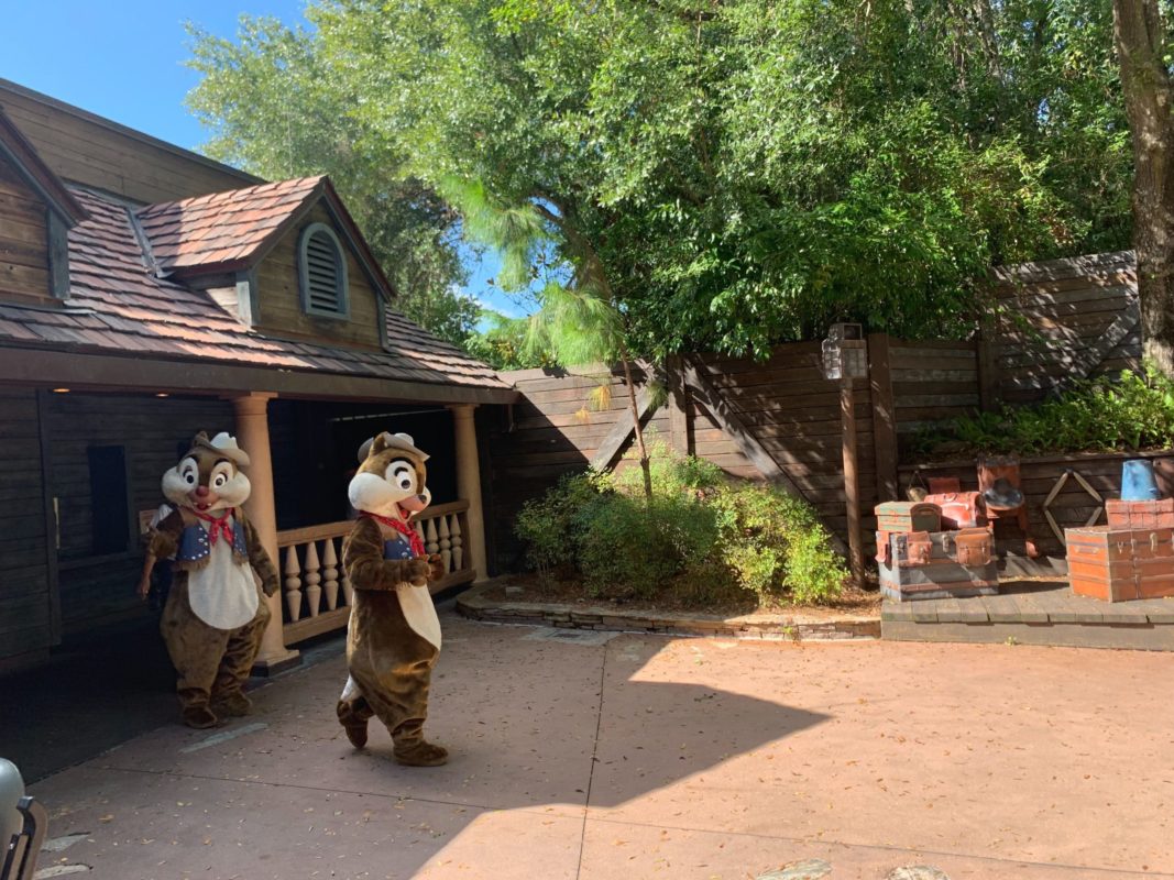 chip and dale splash mountain meet and greet