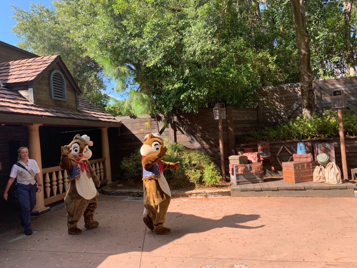 chip and dale splash mountain meet and greet
