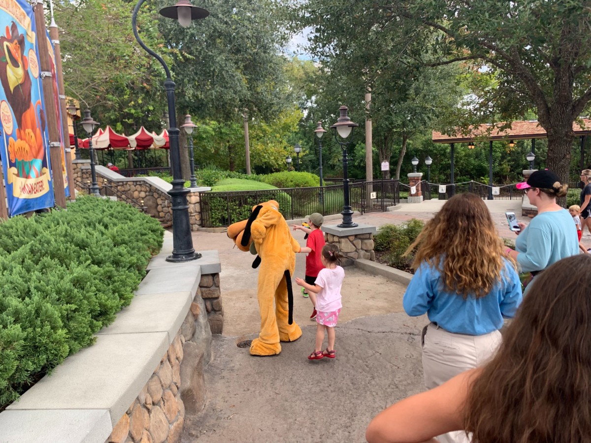 pluto roaming storybook circus magic kingdom