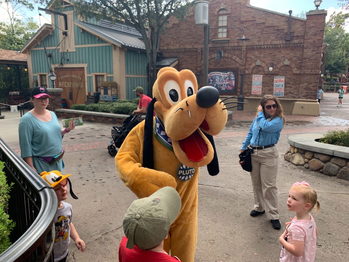 pluto roaming storybook circus magic kingdom
