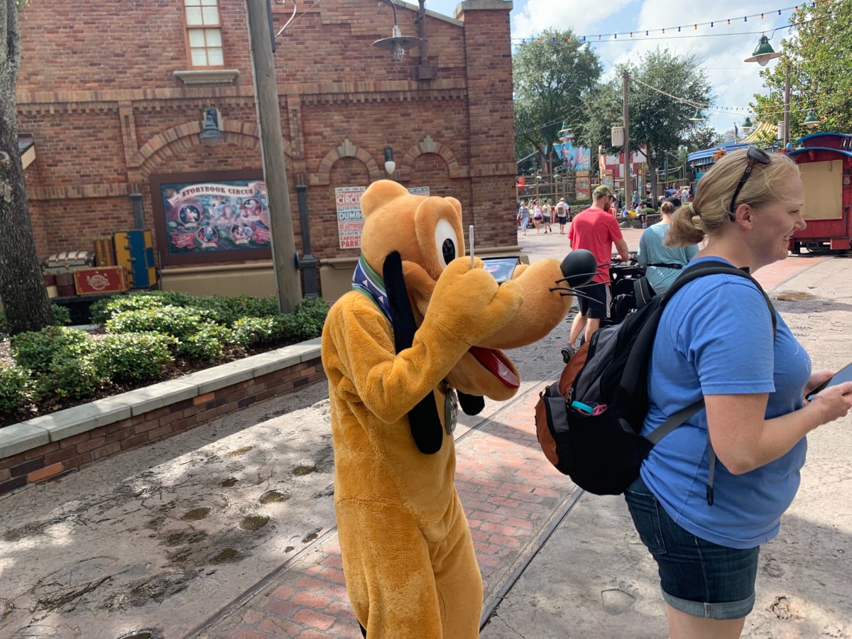 pluto roaming storybook circus magic kingdom